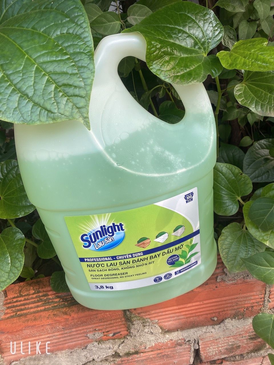 Nước Lau sàn Sunlight ( Đánh Bay Dầu Mỡ )